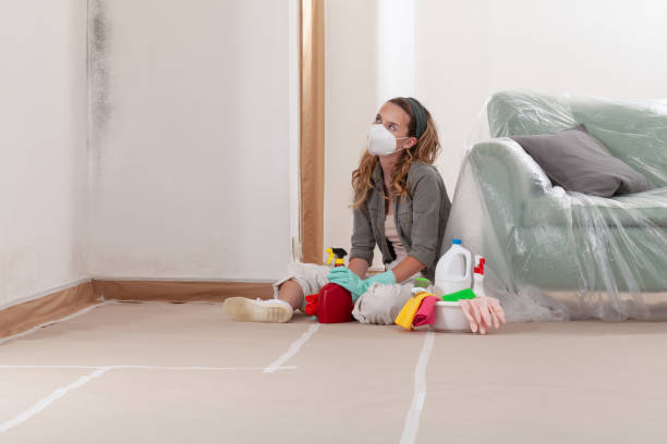 Reliable Basement Mold Remediation contractor in Parkton, MD by WQB Mold Removal